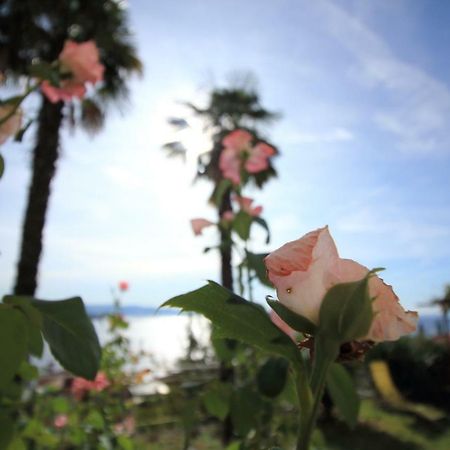 Tramontana Leeward - Cozy And Charming Apartment In Beautiful Volosko オパティヤ エクステリア 写真